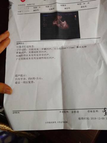 journal_insert_pic_1149181551