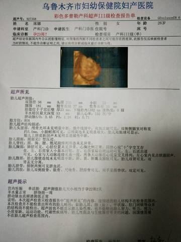 journal_insert_pic_1149022331