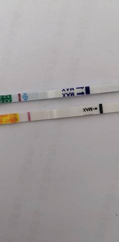 journal_insert_pic_1149191065