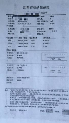 journal_insert_pic_1149746205