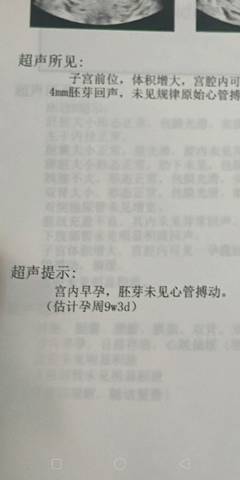 journal_insert_pic_1149533996