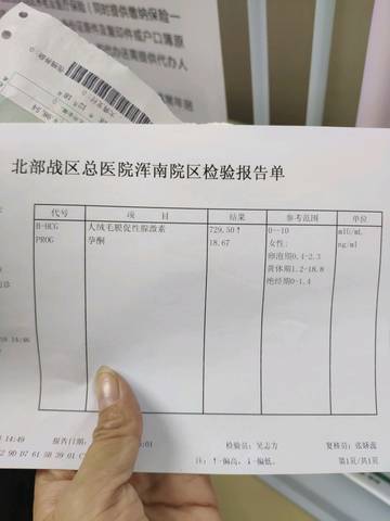 journal_insert_pic_1150317617