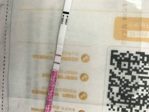journal_insert_pic_1150853556