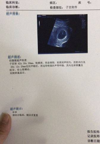journal_insert_pic_1151068663