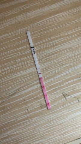 journal_insert_pic_1150950485