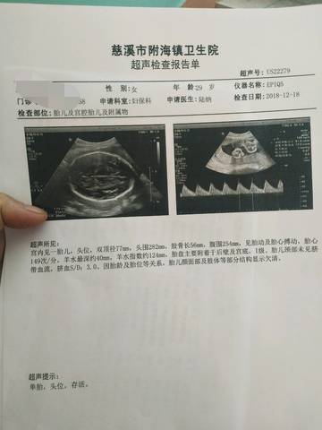 journal_insert_pic_1150621006