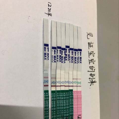 journal_insert_pic_1151190645