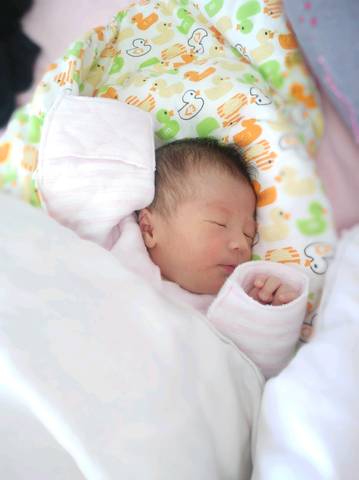 journal_insert_pic_1151484312