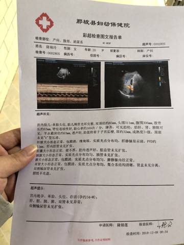journal_insert_pic_1151631568