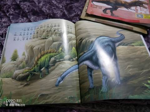 journal_insert_pic_1151582480