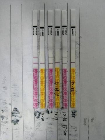 journal_insert_pic_1151498485