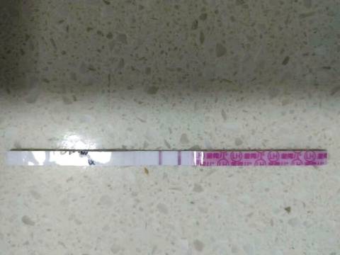 journal_insert_pic_1152161094