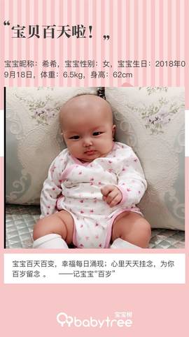 journal_insert_pic_1152140463