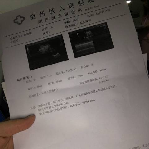 journal_insert_pic_1151894740