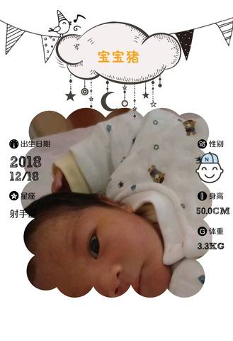 journal_insert_pic_1151857818