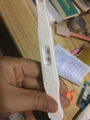 journal_insert_pic_1151776396