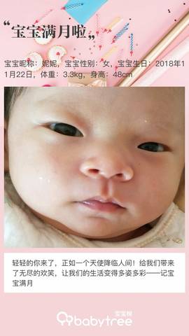 journal_insert_pic_1152270865