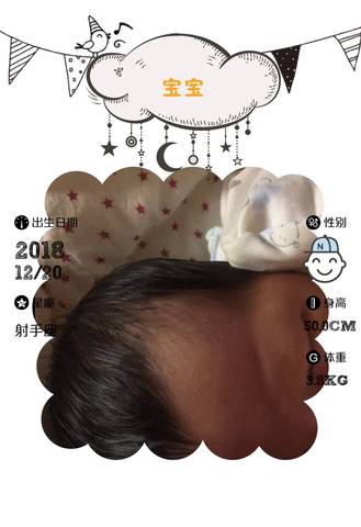 journal_insert_pic_1152239833