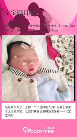 journal_insert_pic_1152190911
