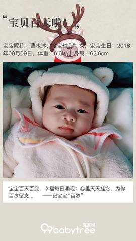 journal_insert_pic_1152256514