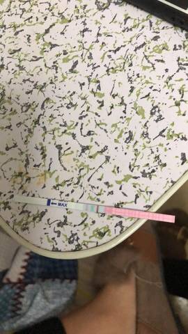 journal_insert_pic_1152214638