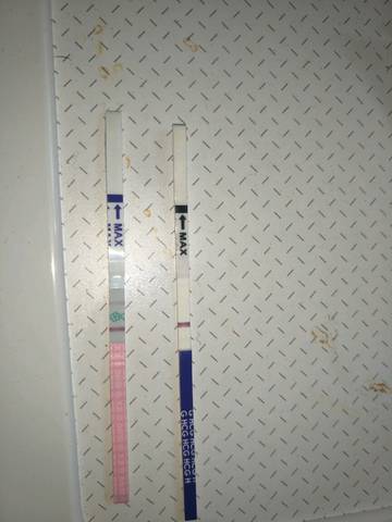 journal_insert_pic_1152265513