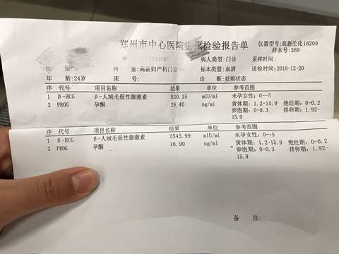journal_insert_pic_1153025156