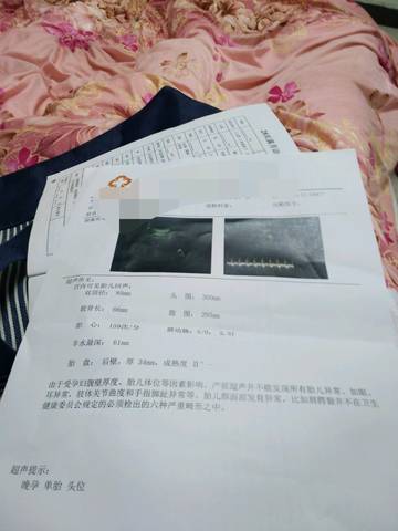 journal_insert_pic_1153157375