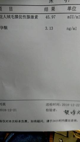 journal_insert_pic_1152965574