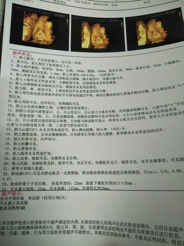 journal_insert_pic_1153703269