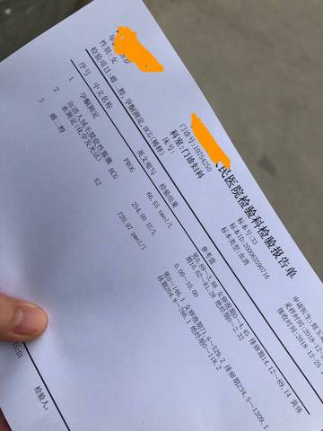 journal_insert_pic_1154254311