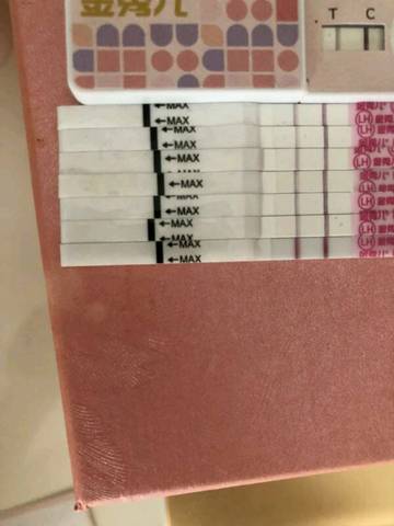 journal_insert_pic_1154274938
