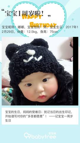 journal_insert_pic_1154085106