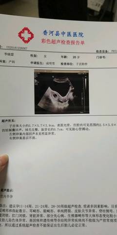 journal_insert_pic_1154737756