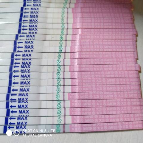 journal_insert_pic_1154767657