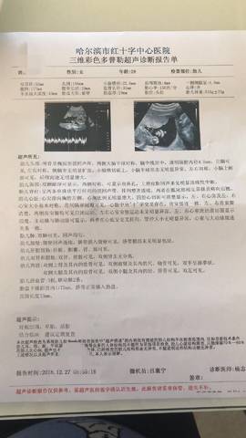 journal_insert_pic_1155308812