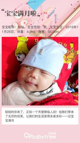 journal_insert_pic_1155619603