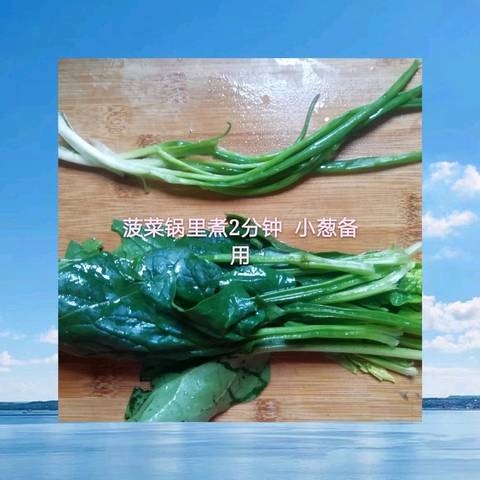 journal_insert_pic_1155593098