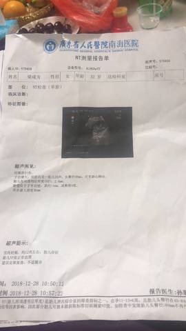journal_insert_pic_1156034594