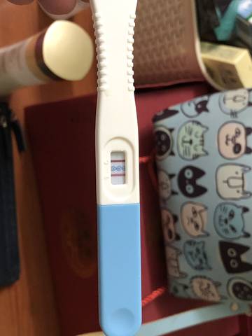 journal_insert_pic_1155806900