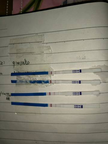 journal_insert_pic_1156652401