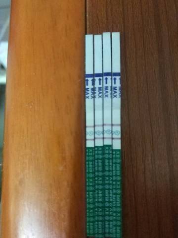 journal_insert_pic_1157330820