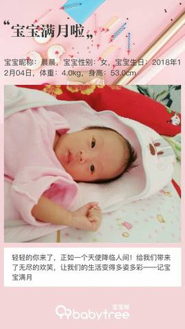 journal_insert_pic_1157678876