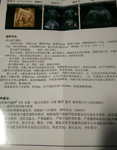 journal_insert_pic_1157467171
