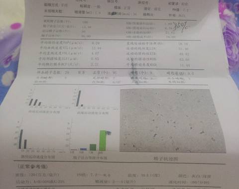 journal_insert_pic_1157478210