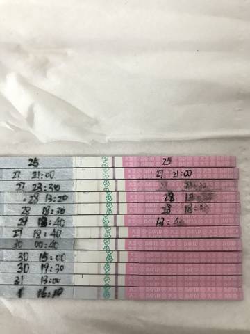 journal_insert_pic_1158142481