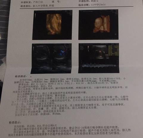 journal_insert_pic_1159156611