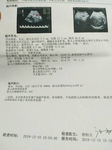 journal_insert_pic_1160042535