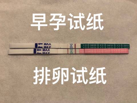 journal_insert_pic_1159634713