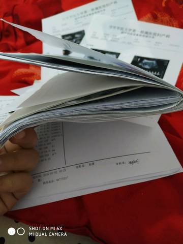 journal_insert_pic_1160386302